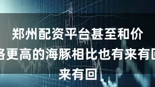 郑州配资平台甚至和价格更高的海豚相比也有来有回